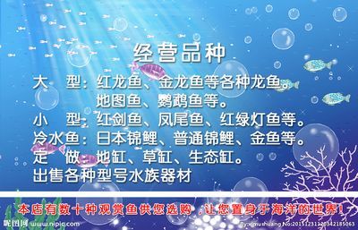 進口紅龍魚芯片卡片：華盛頓公約(cites)紅龍魚芯片查詢平臺 進口紅龍魚芯片卡片：華盛頓公約(cites)紅龍魚芯片查詢平臺 紅龍魚百科 第2張
