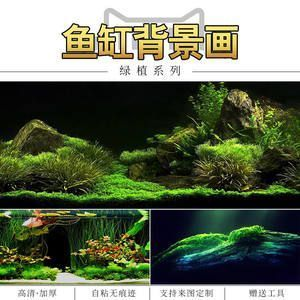 愛唯希魚缸質量評價如何樣（愛唯希魚缸質量評價如何樣?。?></span></p><h2 id=