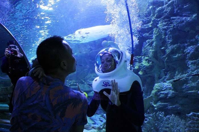 水族館百科：《水族館百科》