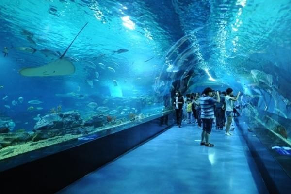 水族館百科：《水族館百科》