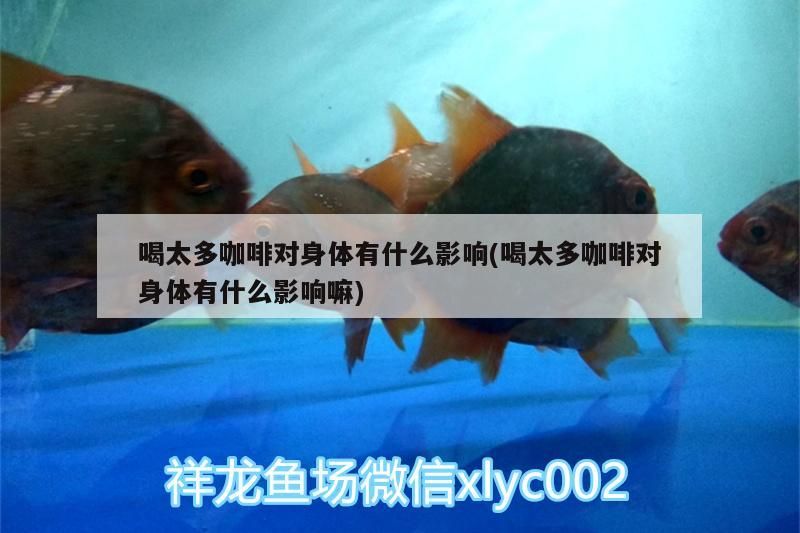 喝太多咖啡對身體有什么影響(喝太多咖啡對身體有什么影響嘛) 喝太多咖啡對身體有什么影響(喝太多咖啡對身體有什么影響嘛) 馬來西亞咖啡