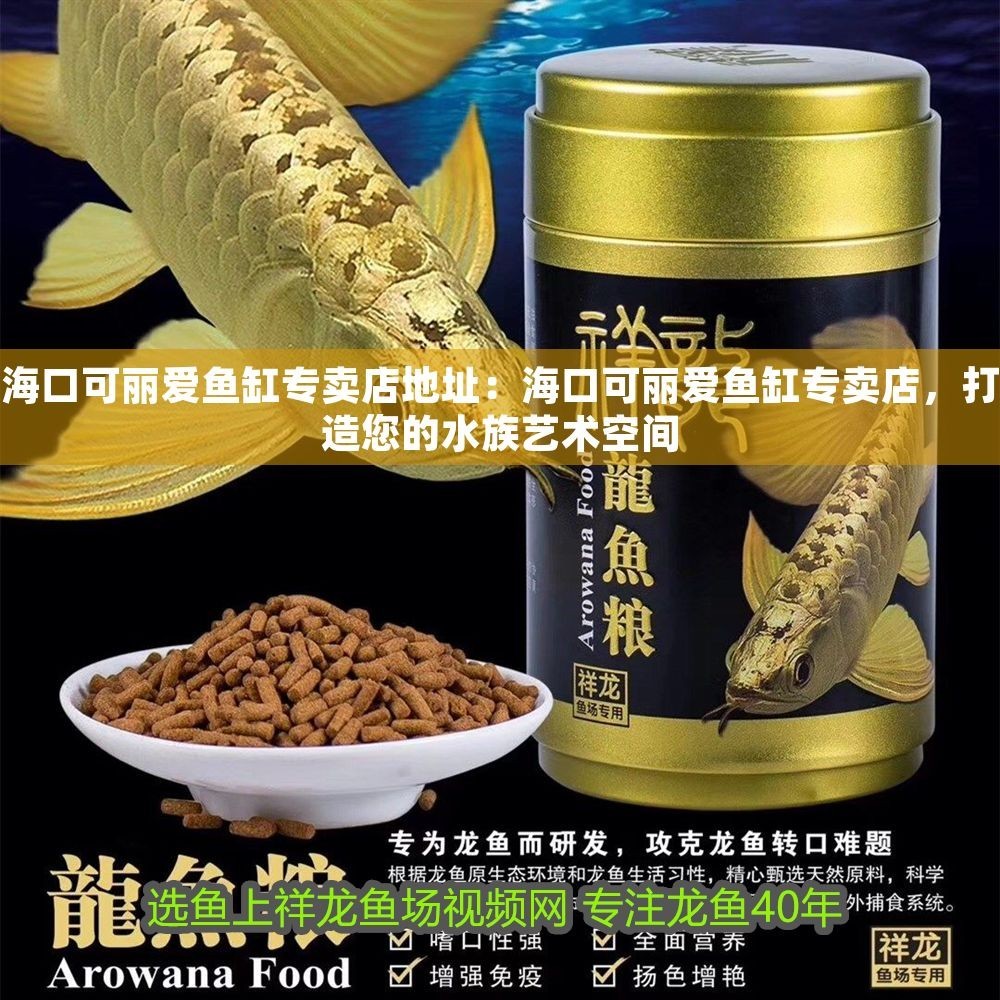 海口可麗愛魚缸專賣店地址：海口可麗愛魚缸專賣店，打造您的水族藝術空間