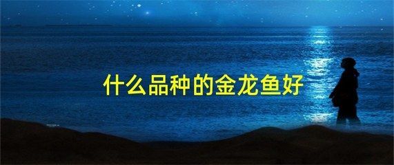 過背金龍魚可以吃嗎有毒嗎會死嗎圖片：過背金龍魚不建議食用，安全起見