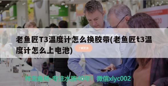 老魚匠T3溫度計(jì)怎么換膠帶(老魚匠t3溫度計(jì)怎么上電池)