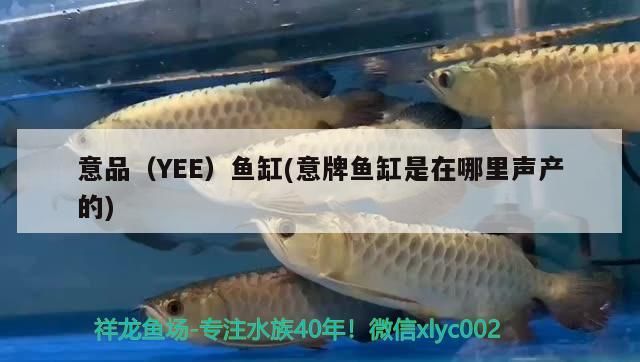 意品（YEE）魚缸(意牌魚缸是在哪里聲產的)