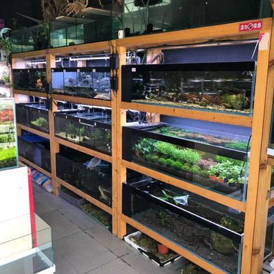 水族館貨源怎么找：水族館貨源市場調研怎么做