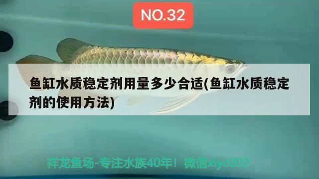 北京龍魚品牌怎么樣？購(gòu)買渠道如何選擇合適的品牌和價(jià)格？，北京龍魚品牌怎么樣多少錢一個(gè)北京龍魚品牌怎么樣