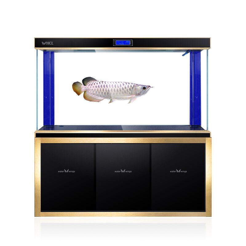 yee牌魚缸是超白的嗎：yee牌魚缸使用了超白玻璃作為主要材質 yee牌魚缸是超白的嗎：yee牌魚缸使用了超白玻璃作為主要材質 yee 第3張