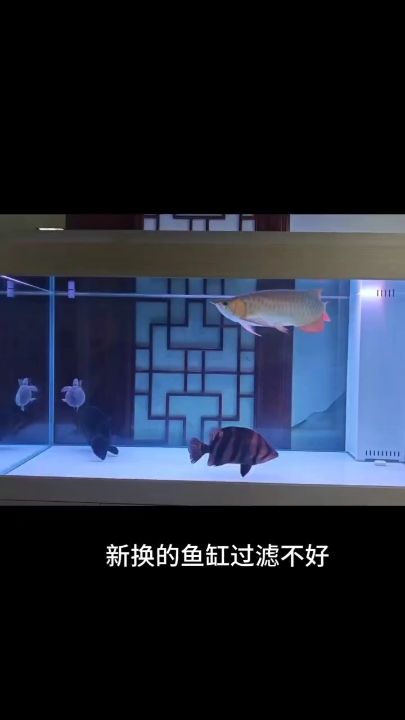 魚缸出水口改裝，魚缸循環不好改裝