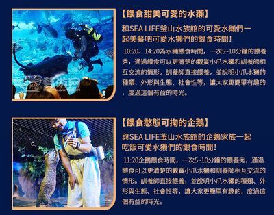 水族館大全：水族館大全是一本全面介紹各種水族館的書籍