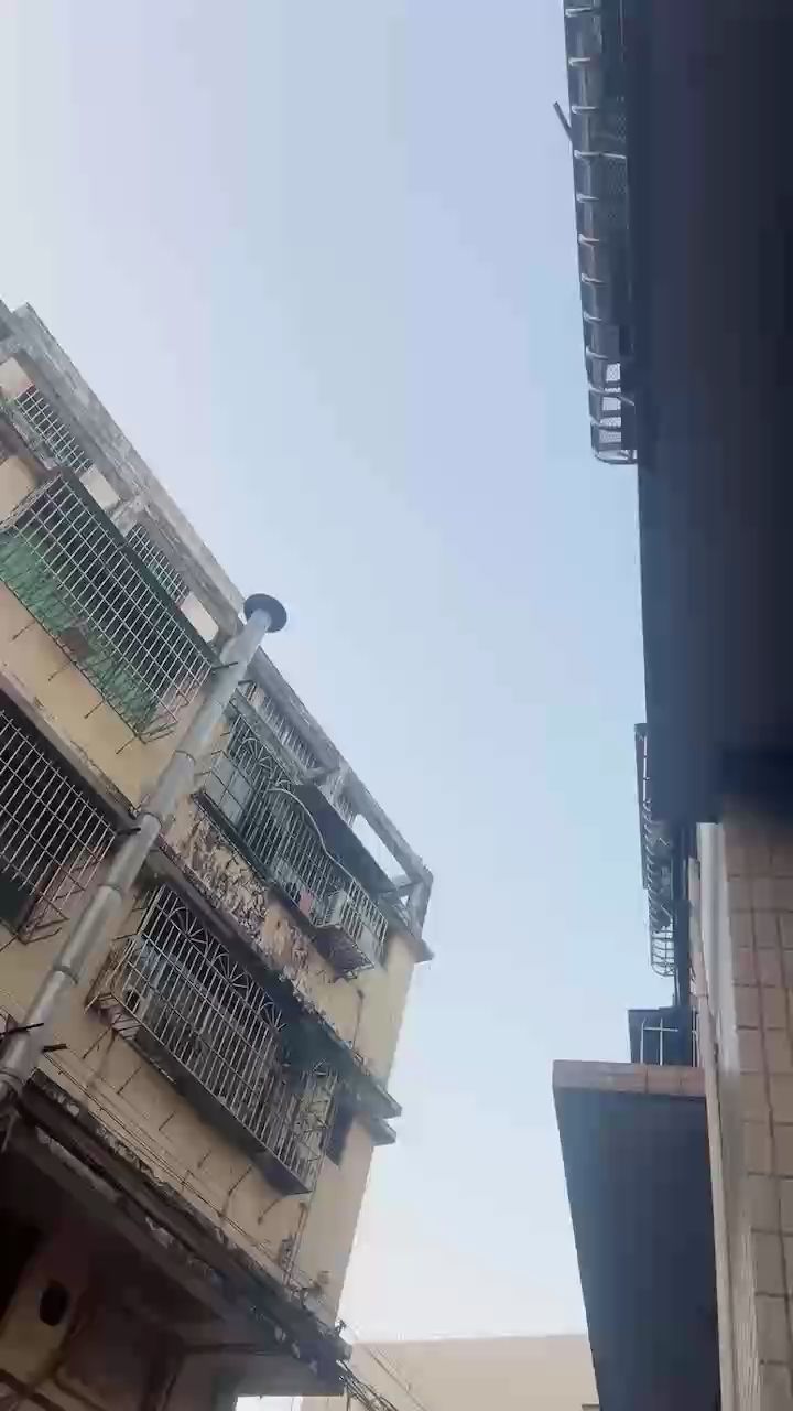 龍魚干蝦有營養嗎 美好一天開始 龍魚論壇 美好一天開始 美好一天開始 龍魚論壇