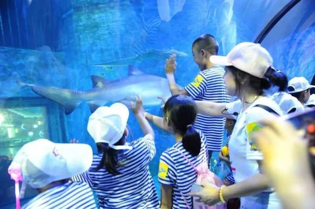 水族館是什么？（世界上第一個供展覽用的水族館在全球范圍內迅速發展） 水族館是什么？（世界上第一個供展覽用的水族館在全球范圍內迅速發展） 水族館百科（水族館加盟） 第4張