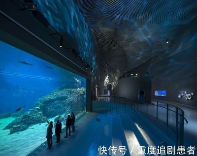 水族館是什么單位性質：關于水族館單位性質的詳細信息