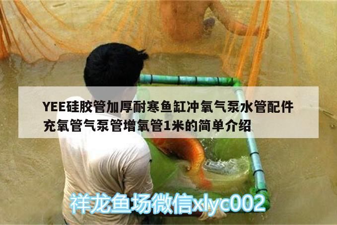 YEE硅膠管加厚耐寒魚缸沖氧氣泵水管配件充氧管氣泵管增氧管1米的簡單介紹