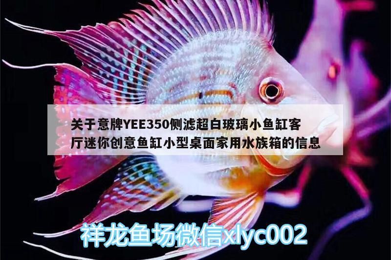 關于意牌YEE350側濾超白玻璃小魚缸客廳迷你創意魚缸小型桌面家用水族箱的信息
