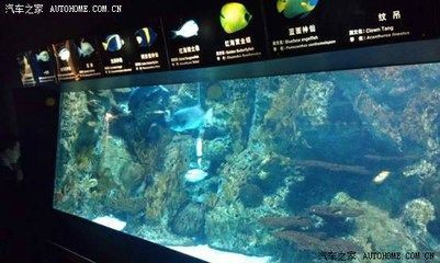 水族館背后的秘密（《詭異水族館》）