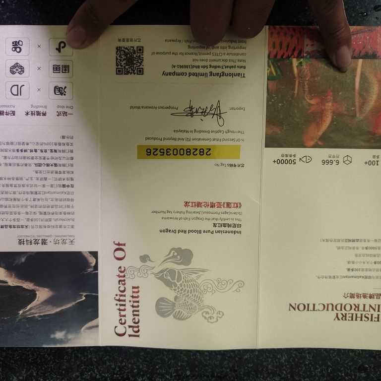 上岸整套出售 龍魚論壇 第1張 上岸整套出售 上岸整套出售 龍魚論壇 第1張