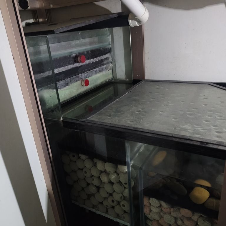 上岸整套出售 龍魚論壇 第8張 上岸整套出售 上岸整套出售 龍魚論壇 第8張
