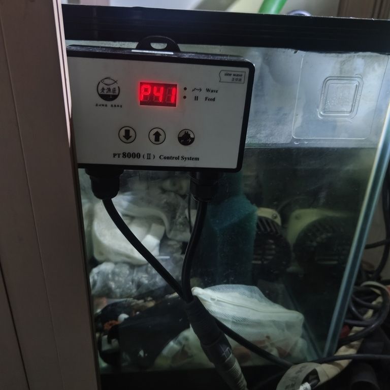 上岸整套出售 龍魚論壇 第9張 上岸整套出售 上岸整套出售 龍魚論壇 第9張