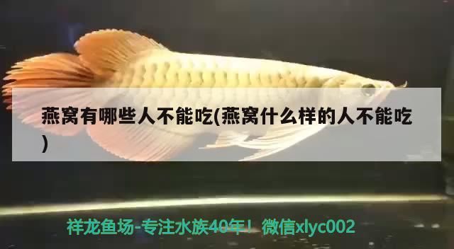 辛集市靜心水族店