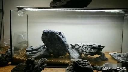 可麗愛魚缸過濾怎么樣（可麗愛魚缸過濾怎么樣好用嗎）