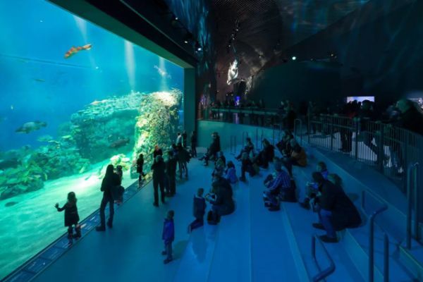 水族館發展前景如何（中國水族館行業發展迅猛） 水族館發展前景如何（中國水族館行業發展迅猛） 水族館百科（水族館加盟） 第2張