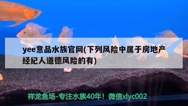 yee意品水族官網(下列風險中屬于房地產經紀人道德風險的有)