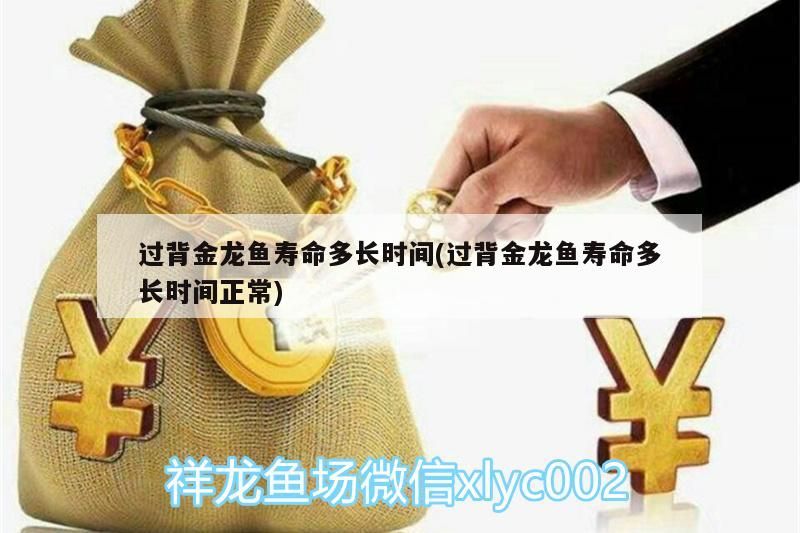 過背金龍魚壽命多長(zhǎng)時(shí)間(過背金龍魚壽命多長(zhǎng)時(shí)間正常)