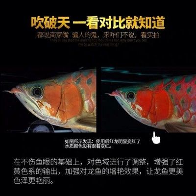馬印發色燈和烤色燈一樣嗎怎么調：馬印發色燈和烤色燈一樣嗎