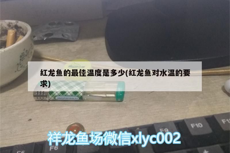 誰能告訴我伊罕加熱棒一般溫差多少就開始加熱 誰能告訴我伊罕加熱棒一般溫差多少就開始加熱 伊罕水族 第3張