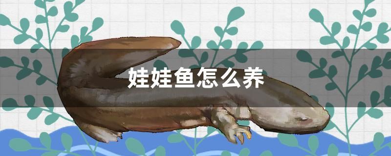 魚缸用增氧泵價格是多少:魚缸增氧機-xtrac增氧機-xtrac增氧機 娃娃魚怎么養 九鼎魚缸 娃娃魚怎么養 娃娃魚怎么養 九鼎魚缸