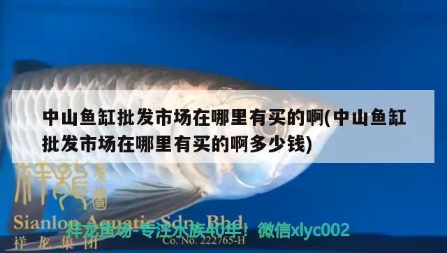 中山魚缸批發市場在哪里有買的啊(中山魚缸批發市場在哪里有買的啊多少錢)