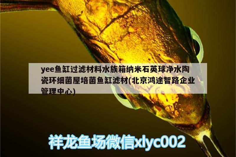 yee魚缸過濾材料水族箱納米石英球凈水陶瓷環細菌屋培菌魚缸濾材(北京鴻途智路企業管理中心)