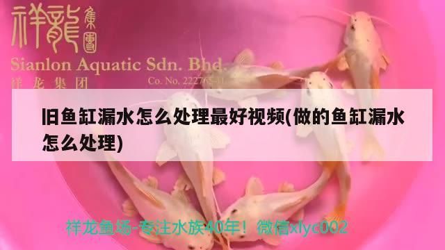 魚缸用增氧泵價格是多少:魚缸增氧機(jī)-xtrac增氧機(jī)-xtrac增氧機(jī) 舊魚缸漏水怎么處理最好視頻(做的魚缸漏水怎么處理) 元寶鳳凰魚百科 舊魚缸漏水怎么處理最好視頻(做的魚缸漏水怎么處理) 舊魚缸漏水怎么處理最好視頻(做的魚缸漏水怎么處理) 元寶鳳凰魚百科