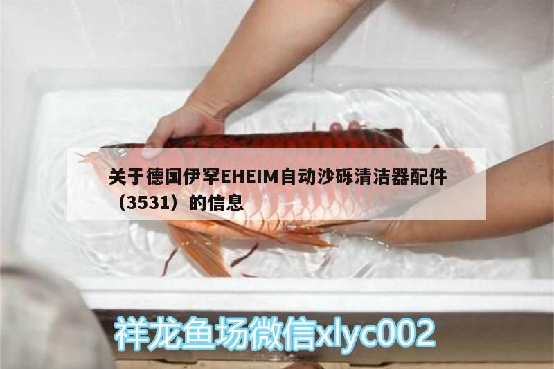 關于德國伊罕EHEIM自動沙礫清潔器配件（3531）的信息