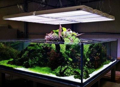 yee牌魚(yú)缸工廠在哪：yee牌魚(yú)缸工廠地址