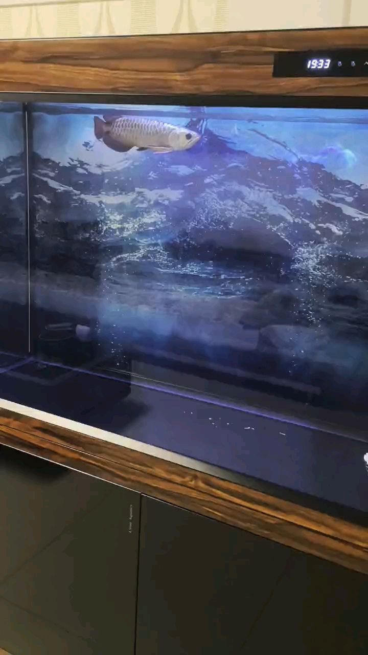 快樂每一天