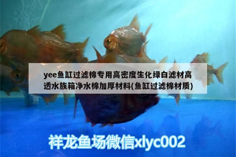 yee魚缸過濾棉專用高密度生化綠白濾材高透水族箱凈水棉加厚材料(魚缸過濾棉材質)