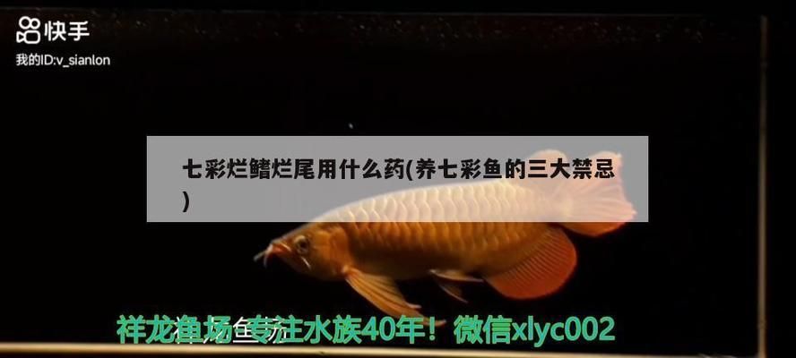 龍魚尾爛是什么情況vs祥龍魚場:祥龍魚場的評價,龍魚尾爛的常見原因 vs祥龍魚場 第5張 龍魚尾爛是什么情況vs祥龍魚場:祥龍魚場的評價,龍魚尾爛的常見原因 龍魚尾爛是什么情況vs祥龍魚場:祥龍魚場的評價,龍魚尾爛的常見原因 vs祥龍魚場 第5張