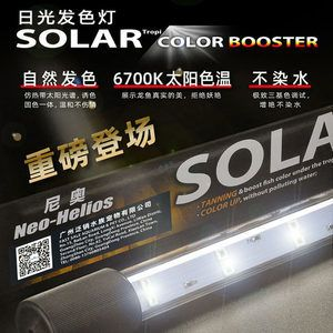 紅龍魚燈色溫多少合適養：紅龍魚的燈色溫度在28-30℃最為適宜