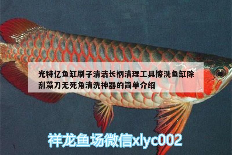 光特億魚缸刷子清潔長柄清理工具擦洗魚缸除刮藻刀無死角清洗神器的簡單介紹