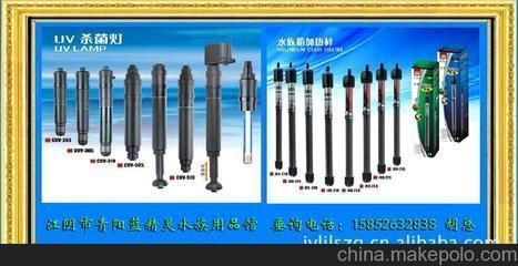 龍魚的最佳光照時間是什么時候？（龍魚最佳光照時間并非固定不變而是應“因魚制宜”）