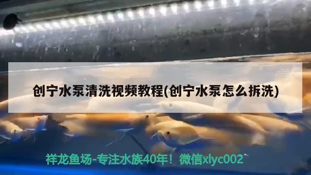 創寧水泵清洗視頻教程(創寧水泵怎么拆洗) 創寧水泵清洗視頻教程(創寧水泵怎么拆洗) 創寧水族