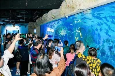 水族館成本怎么算收入：水族館成本與收入計算 水族館成本怎么算收入：水族館成本與收入計算 水族館百科（水族館加盟） 第5張
