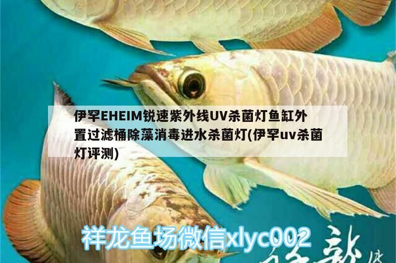 伊罕EHEIM銳速紫外線UV殺菌燈魚缸外置過濾桶除藻消毒進水殺菌燈(伊罕uv殺菌燈評測)