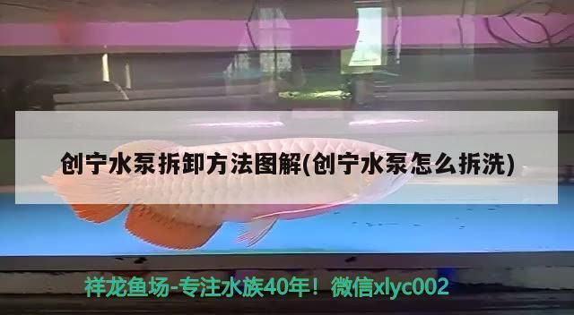 創寧水泵拆卸方法圖解(創寧水泵怎么拆洗) 創寧水泵拆卸方法圖解(創寧水泵怎么拆洗) 創寧水族