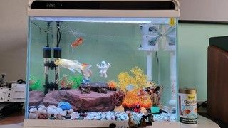 he480魚缸可以放多少升水:he480魚缸養殖的技巧魚缸養殖技巧 魚缸百科 第4張 he480魚缸可以放多少升水:he480魚缸養殖的技巧魚缸養殖技巧 he480魚缸可以放多少升水:he480魚缸養殖的技巧魚缸養殖技巧 魚缸百科 第4張