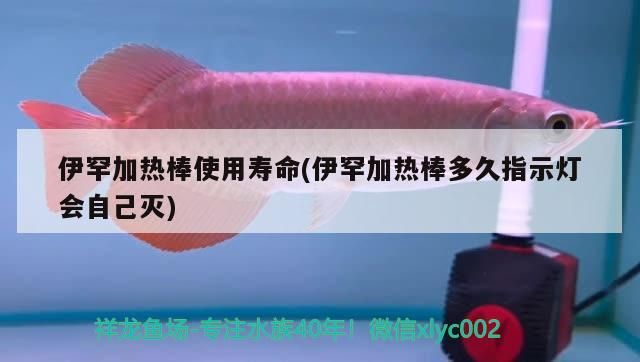 伊罕加熱棒使用壽命(伊罕加熱棒多久指示燈會自己滅)