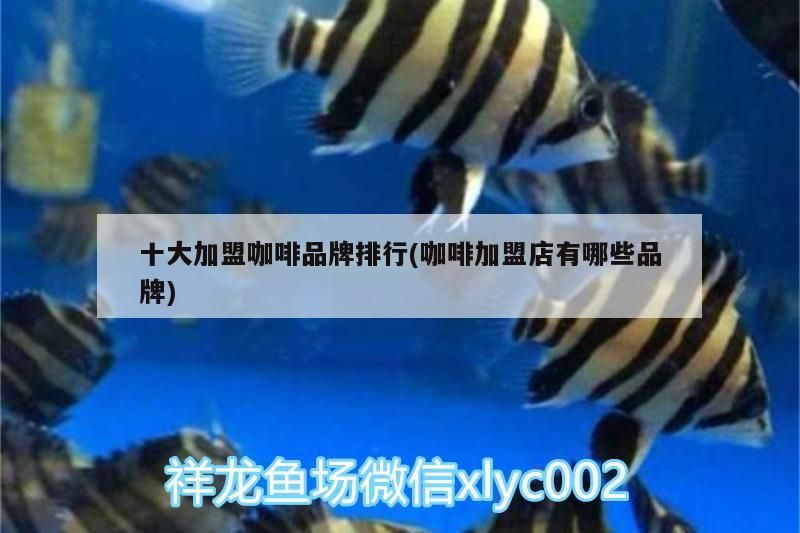 魚趴缸加鹽的持續時間，趴缸加鹽的持續時間