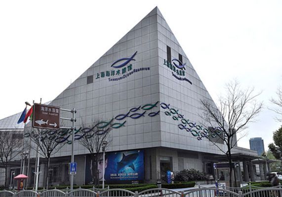水族館是什么時候建立的（上海海洋水族館是什么時候建立的，水族館是什么時候建立的）